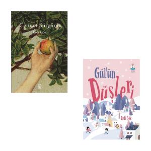 Erdi Gök Kitap Seti