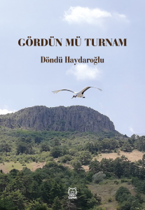 Gördün mü Turnam