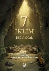 7 İklim