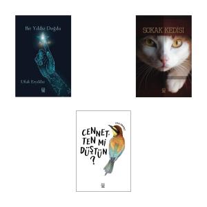 Ufuk Eryıldız Kitap Seti