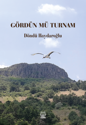 Gördün mü Turnam